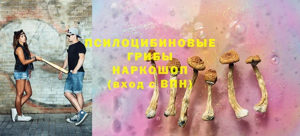 гашик Армянск