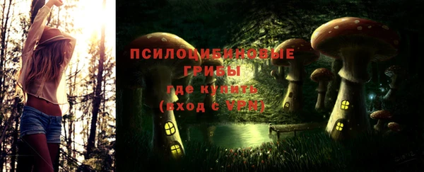 гашик Армянск