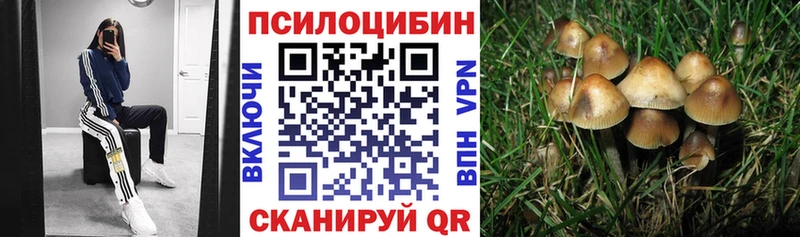 Псилоцибиновые грибы ЛСД  где купить наркоту  Полярные Зори 